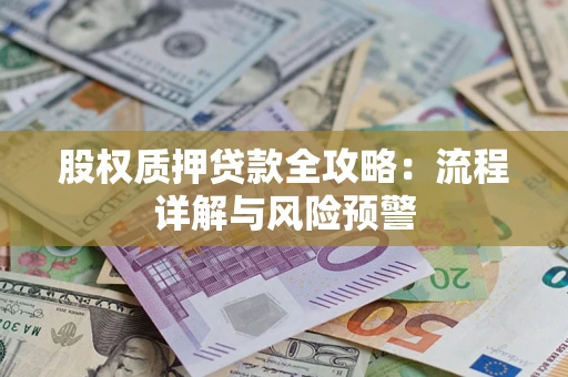 北京股权质押贷款全攻略：流程详解与风险预警