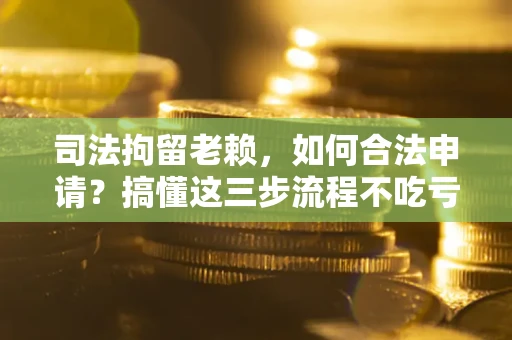 北京司法拘留老赖，如何合法申请？搞懂这三步流程不吃亏！