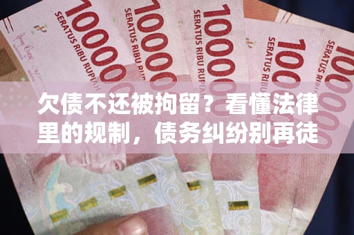 北京欠债不还被拘留？看懂法律里的规制，债务纠纷别再徒劳奔波