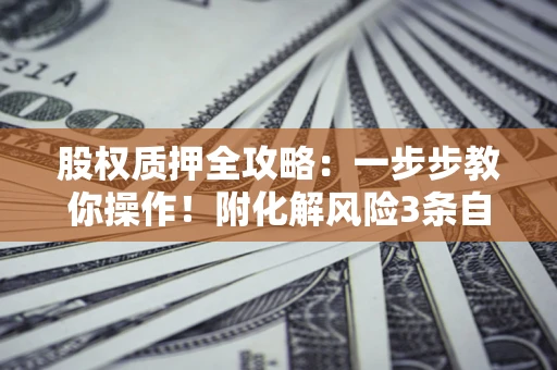 北京股权质押全攻略：一步步教你操作！附化解风险3条自救法则
