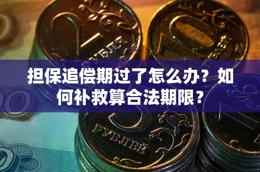 北京担保追偿期过了怎么办？如何补救算合法期限？