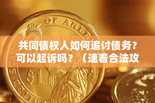 北京共同债权人如何追讨债务？可以起诉吗？（速看合法攻略）