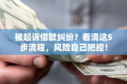 北京被起诉借款纠纷？看清这5步流程，风险自己把控！